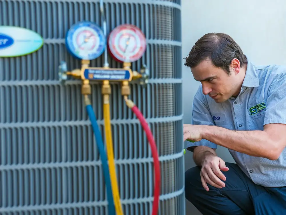 DSC01338edit (1) (1)