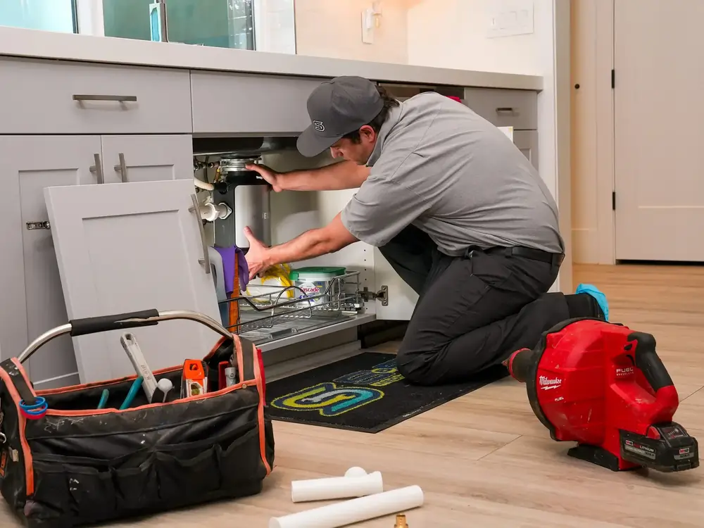 DSC02487edit (1) (1)